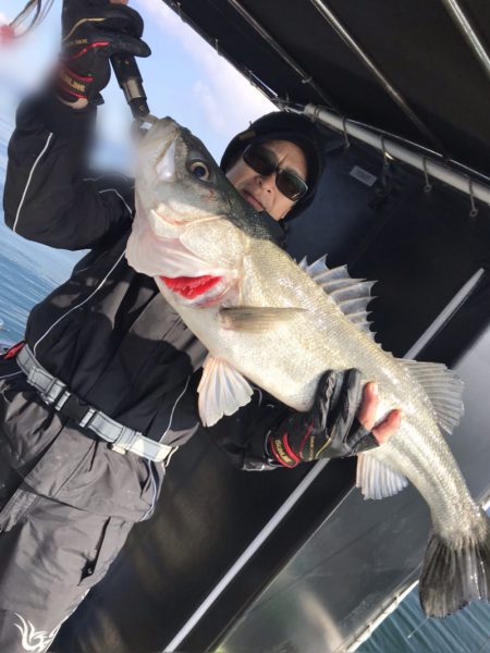 遊漁船メテオ 釣果