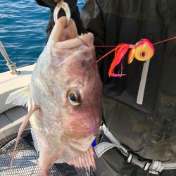 末広丸(熊本) 釣果