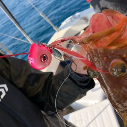 末広丸(熊本) 釣果