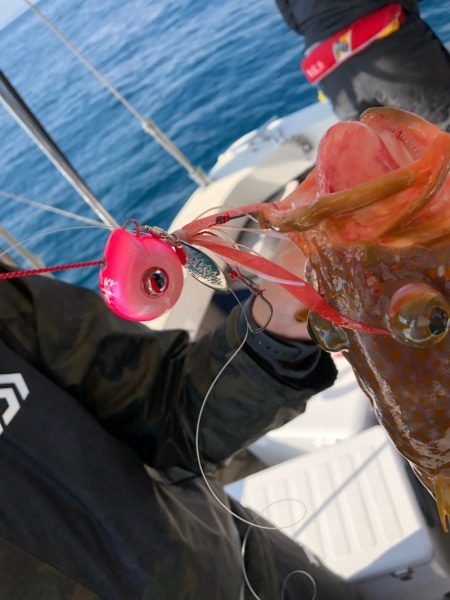 末広丸(熊本) 釣果