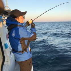 龍神丸(鹿児島) 釣果