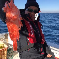 龍神丸(鹿児島) 釣果