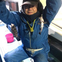 ヤザワ渡船 釣果