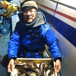 ヤザワ渡船 釣果