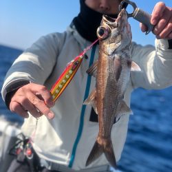 ＴＡＲＯＭＡＲＵ 釣果