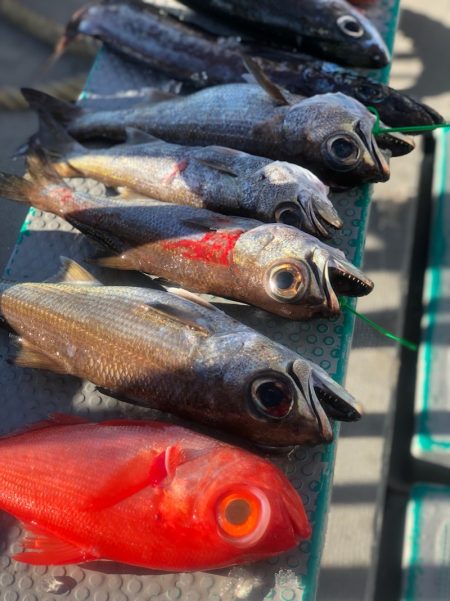 ＴＡＲＯＭＡＲＵ 釣果