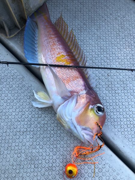 あみや渡船 JIGBOY 釣果