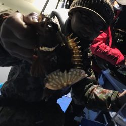 ヤザワ渡船 釣果