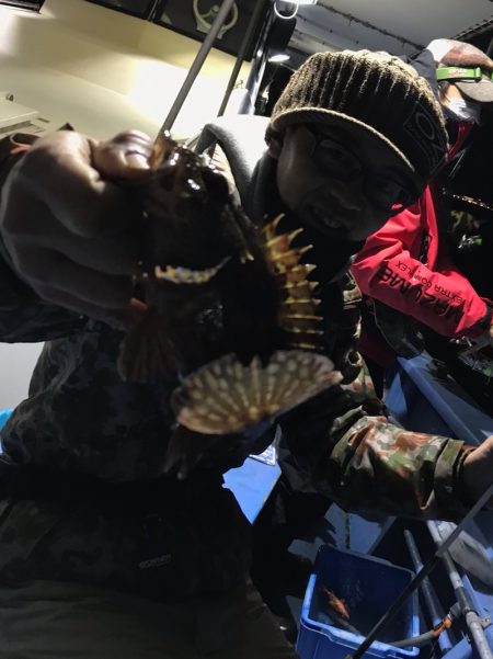 ヤザワ渡船 釣果