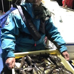ヤザワ渡船 釣果