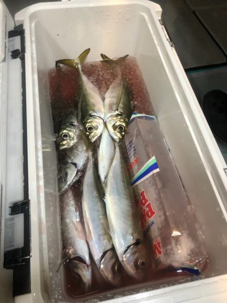 ＴＡＲＯＭＡＲＵ 釣果