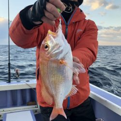 新幸丸 釣果