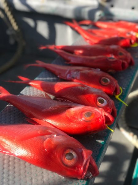 ＴＡＲＯＭＡＲＵ 釣果