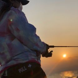 龍神丸(鹿児島) 釣果