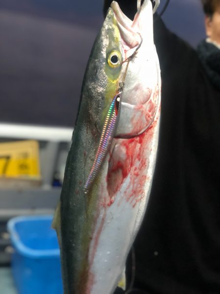 ＴＡＲＯＭＡＲＵ 釣果