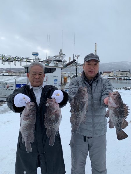 シーランチ 釣果