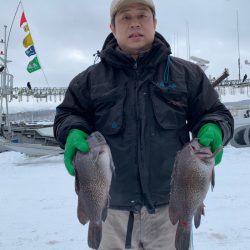 シーランチ 釣果