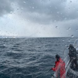シーランチ 釣果
