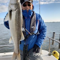 海龍丸(島根) 釣果