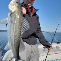 海龍丸(島根) 釣果