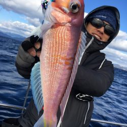 渡船屋たにぐち 釣果