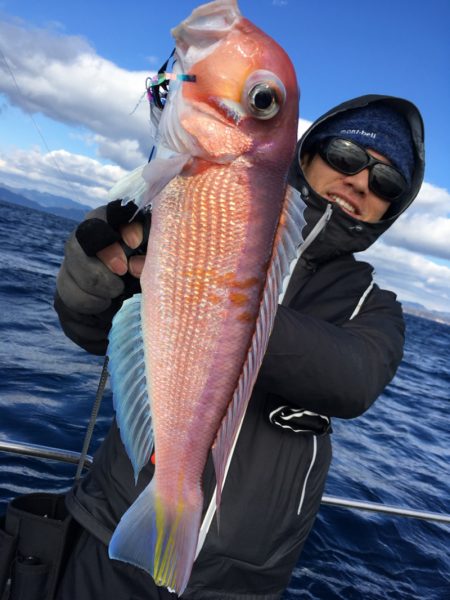 渡船屋たにぐち 釣果
