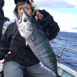 渡船屋たにぐち 釣果