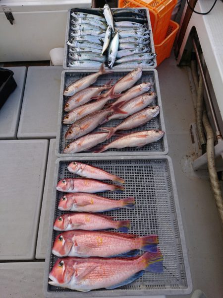 エンペラー 釣果