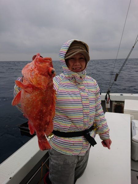 エンペラー 釣果