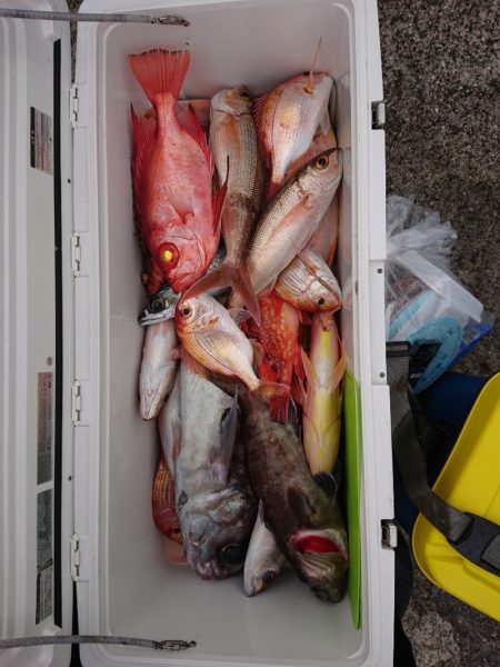 エンペラー 釣果