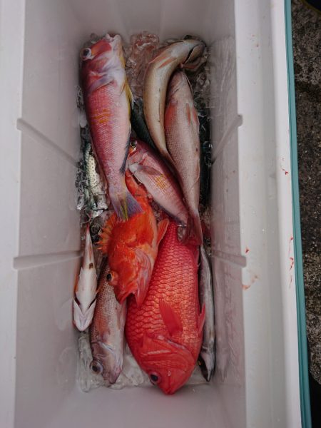 エンペラー 釣果