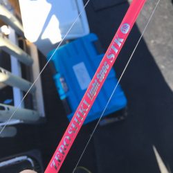 渡船屋たにぐち 釣果