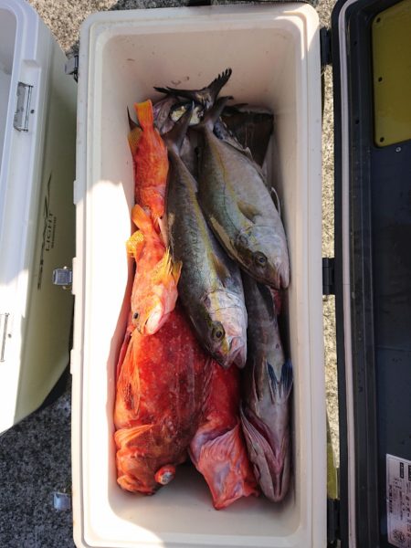 エンペラー 釣果