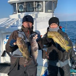 シーランチ 釣果