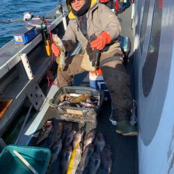 シーランチ 釣果