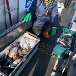 シーランチ 釣果