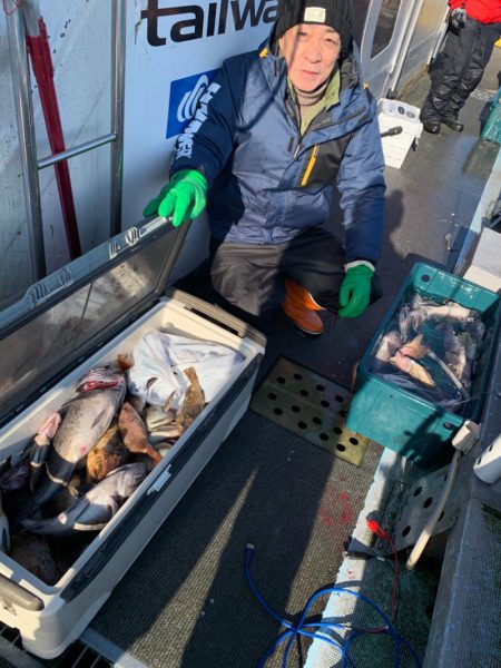 シーランチ 釣果