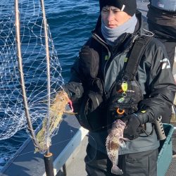 シーランチ 釣果