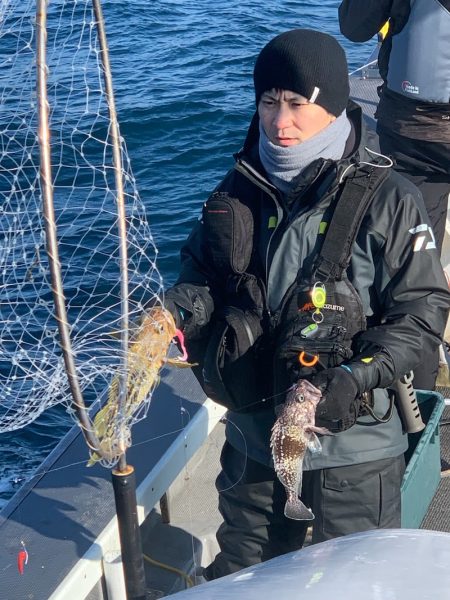 シーランチ 釣果