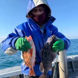 シーランチ 釣果