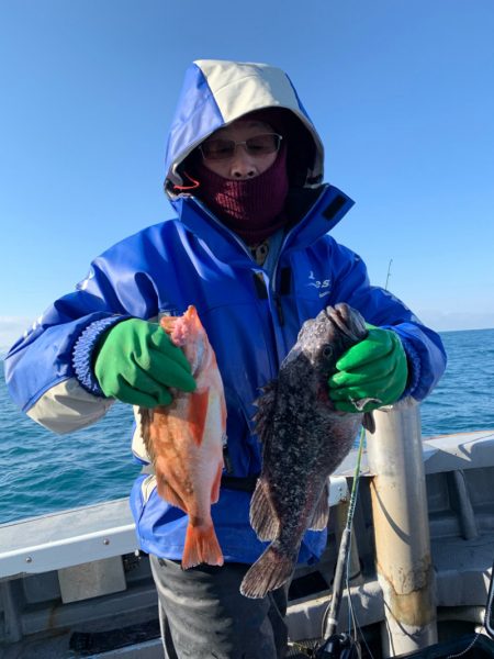 シーランチ 釣果