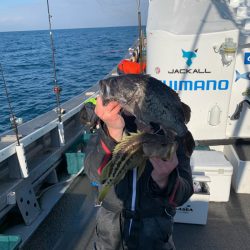 シーランチ 釣果