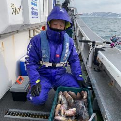 シーランチ 釣果