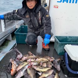 シーランチ 釣果