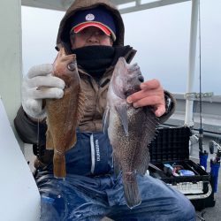 シーランチ 釣果