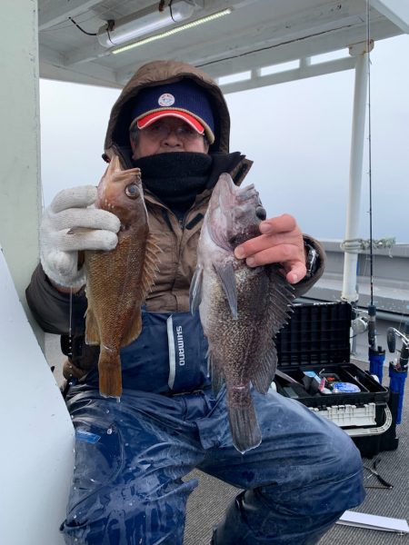 シーランチ 釣果