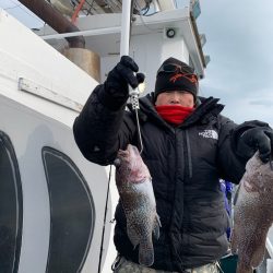 シーランチ 釣果