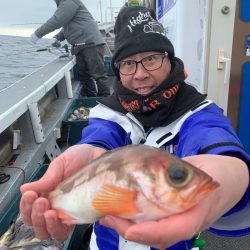 シーランチ 釣果