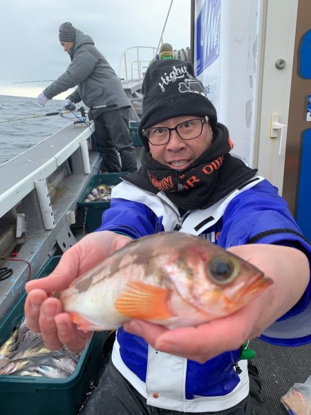 シーランチ 釣果