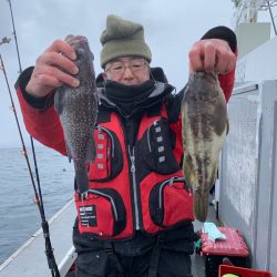 シーランチ 釣果